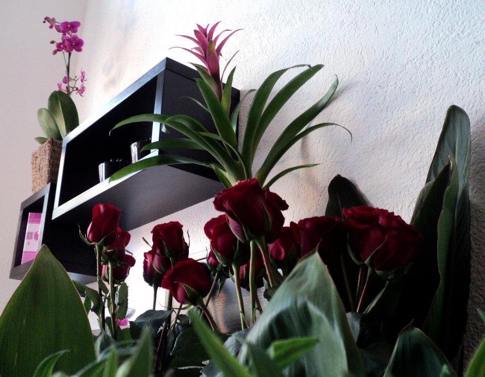 cvece Studio Cerera cvece Studio Cerera