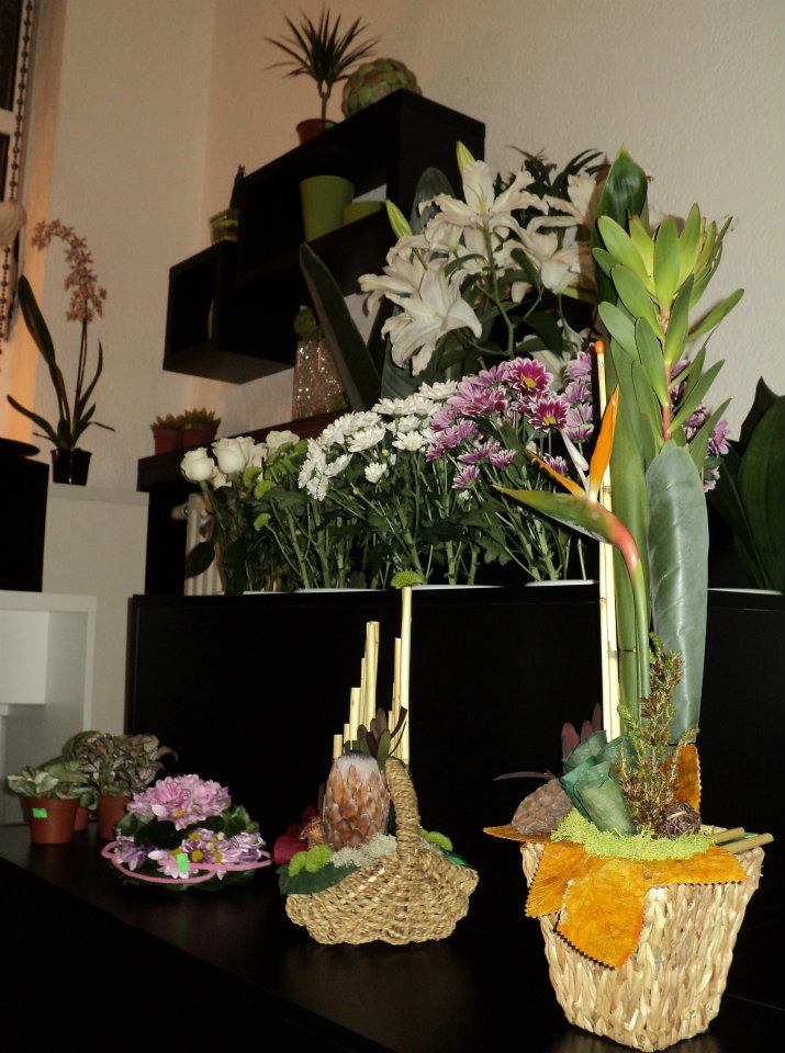 cvece Studio Cerera cvece Studio Cerera