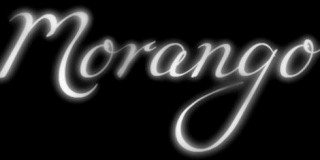 Salon venčanica Morango