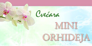Mini Orhideja
